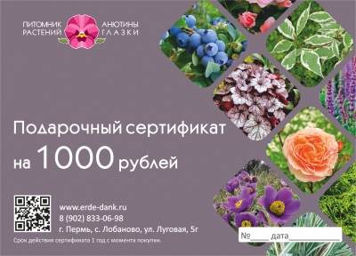 подарочный сертификат на 1000 руб.